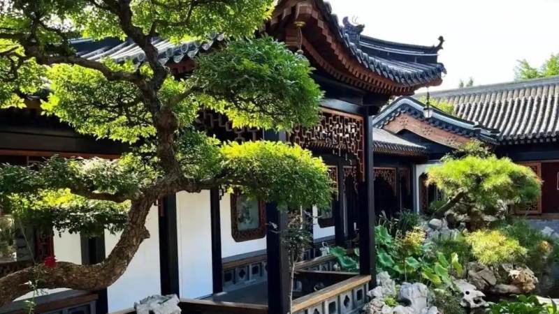 LOL全球总决赛直播平台怎么选？从画质延迟到多语解说的判断思路